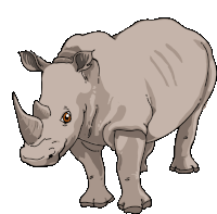 Gif animé rhinocéros tranquille